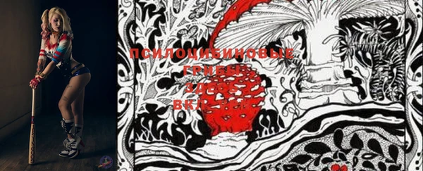 PSILOCYBIN Армянск