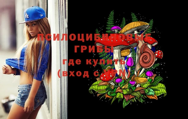 прущая мука Арсеньев