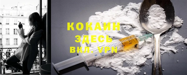 PSILOCYBIN Армянск